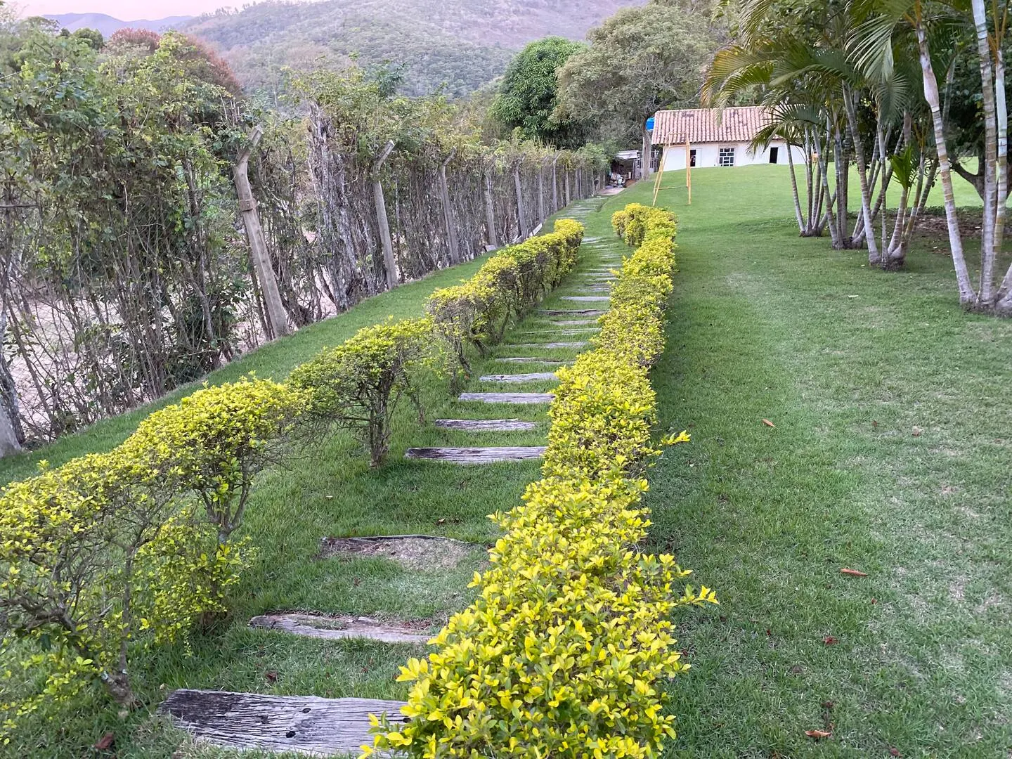 Caminho de pedra pelo jardim em direção ao campo